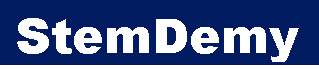 website logo